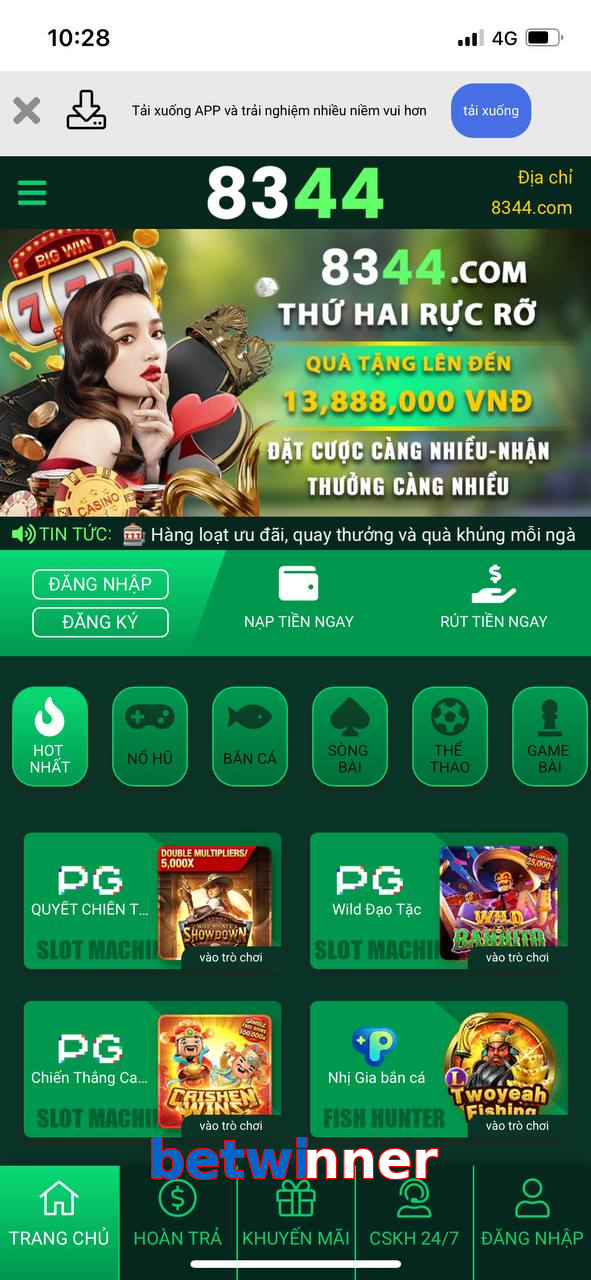 betwinner